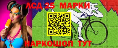 сатива Новозыбков
