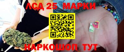 сатива Новозыбков
