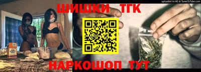 сатива Новозыбков