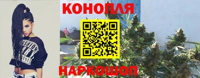 бошки Новодвинск