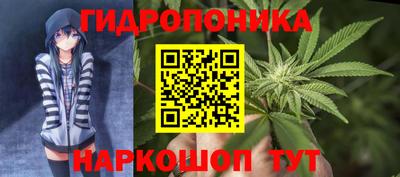 сатива Новозыбков