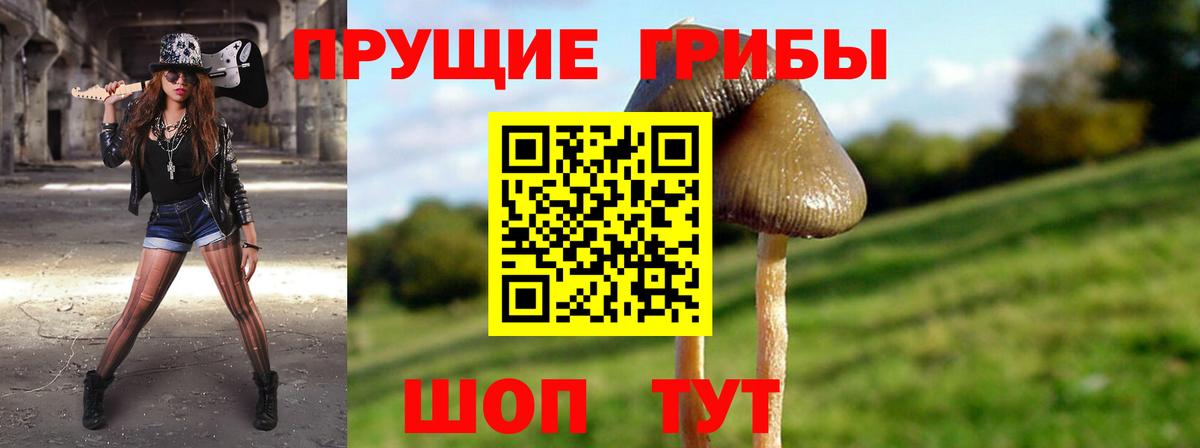 Псилоцибиновые грибы мицелий Ростов-на-Дону